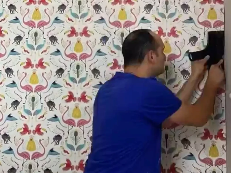 Martin Cole hanging a patterned feature wallpaper